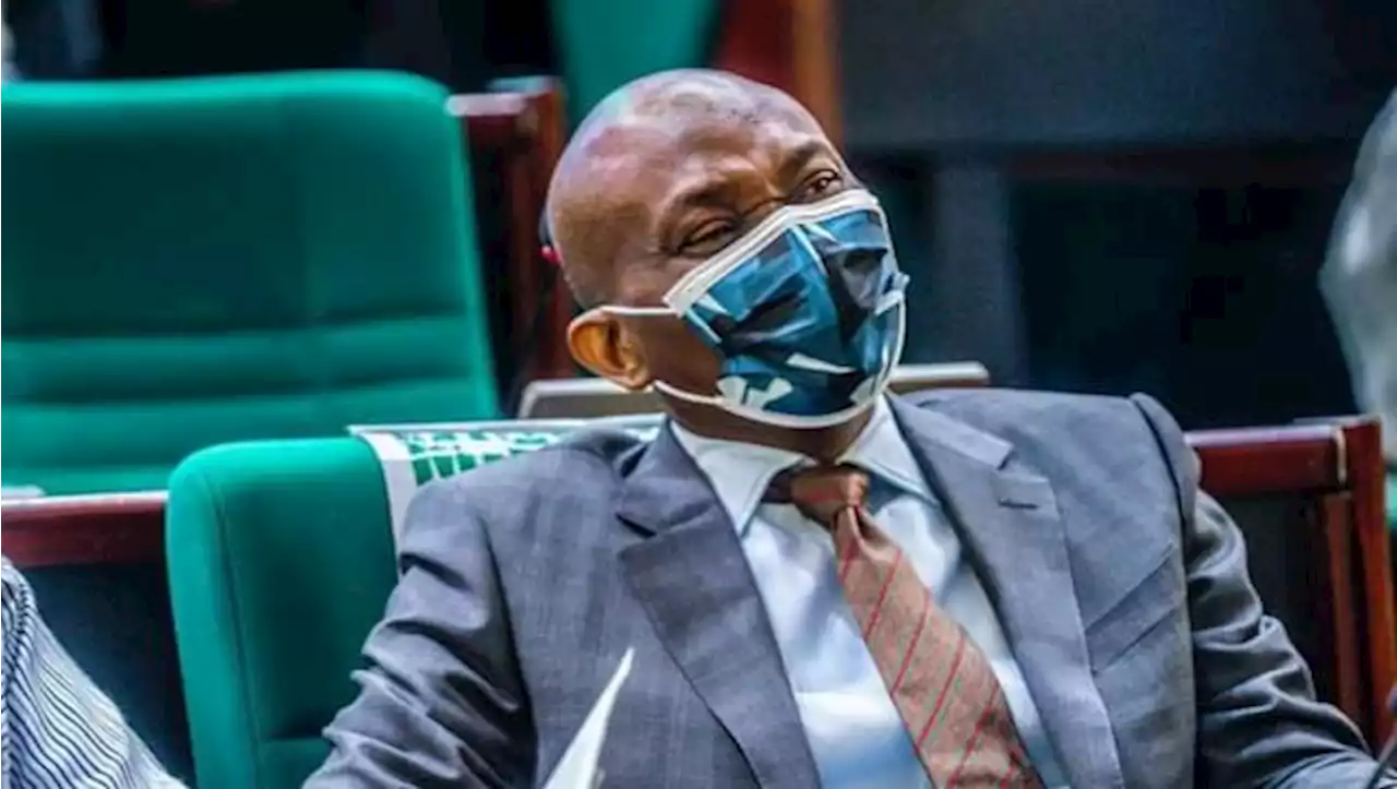 Re-election bid: Ndudi Elumelu, reps minority leader, secures PDP ticket | TheCable