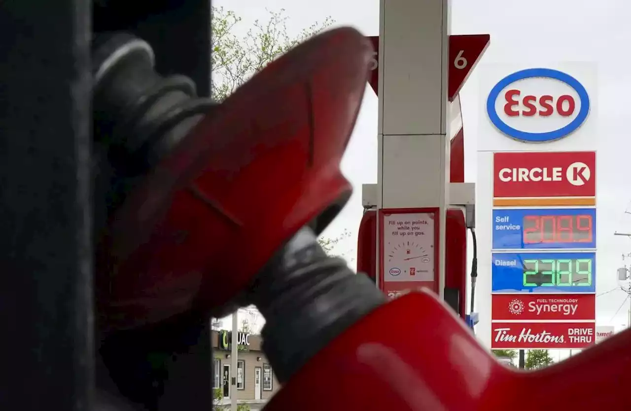 Daily gas price check: Toronto and York among highest gas prices in the GTA