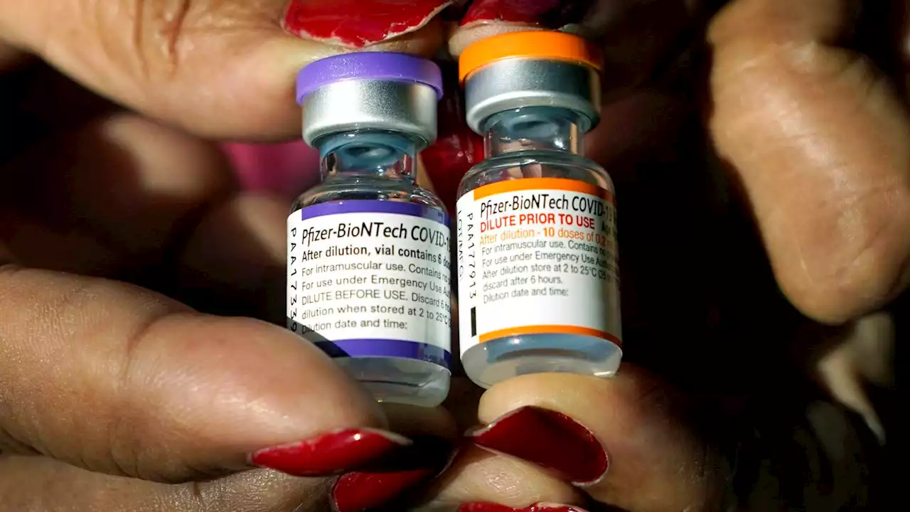 Opponents of federal vaccine mandate seek rehearing