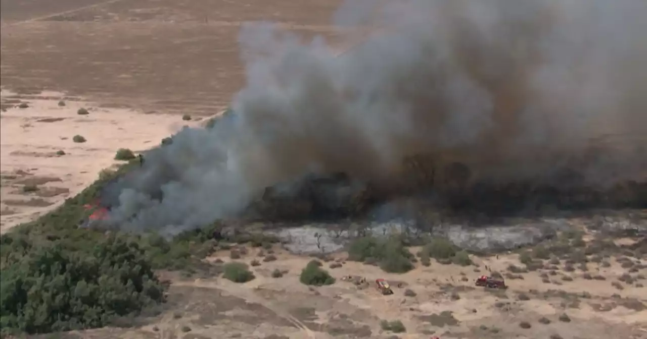 Crews fight brush fire in Chandler