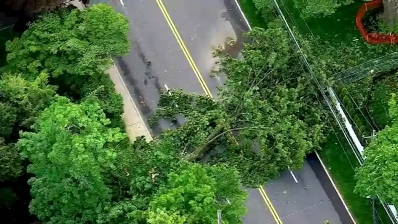 Weekend storms down trees, leave hundreds in the dark in Scarsdale