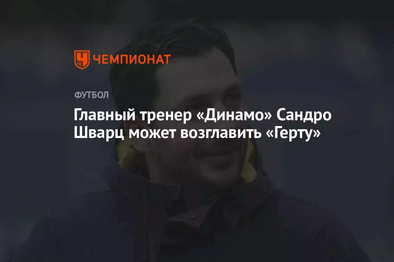 Главный тренер «Динамо» Сандро Шварц может возглавить «Герту»