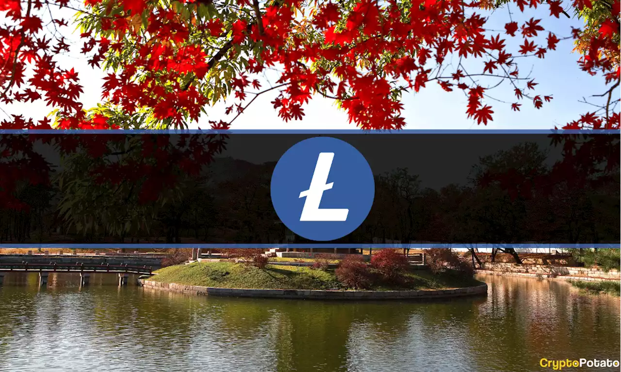 South Korean Crypto Exchanges Issue Investment Warnings After Litecoin's MWEB Update