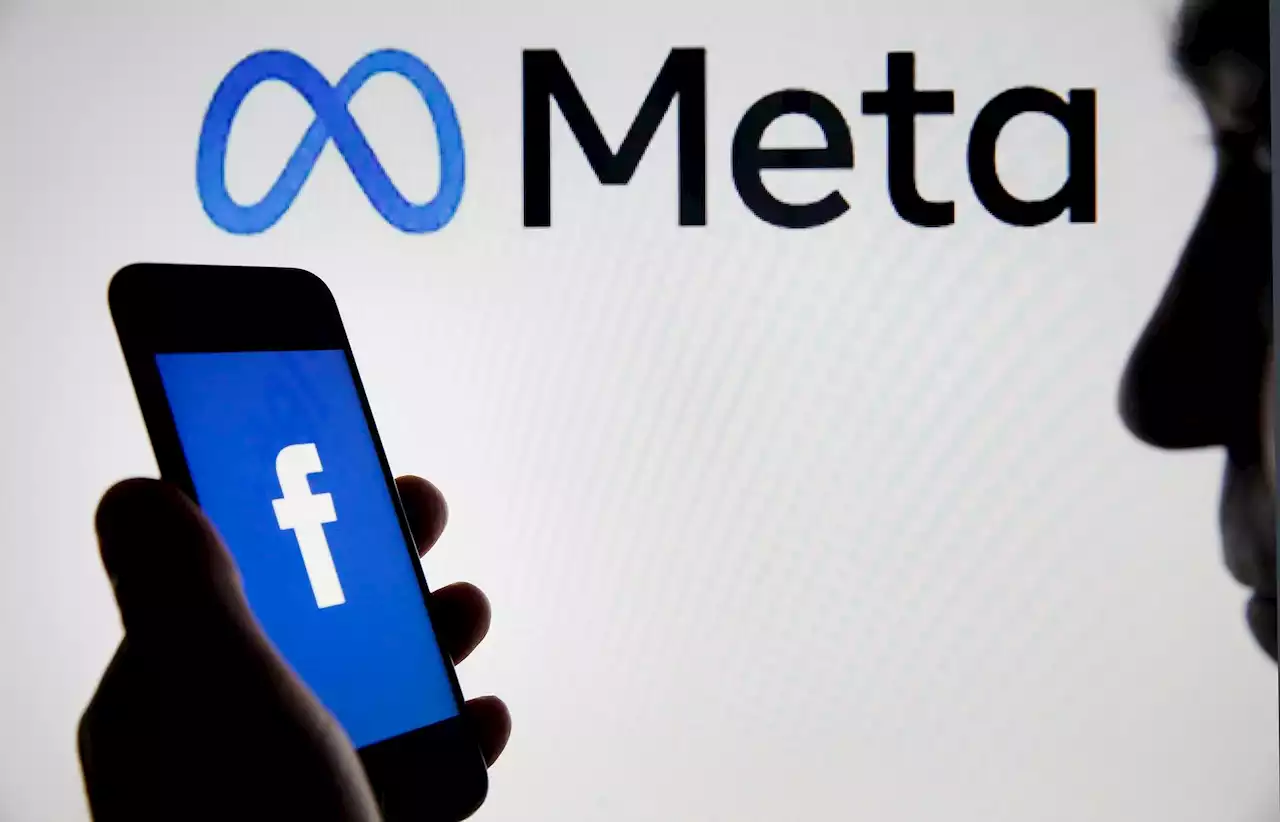 Meta Relents, Shares Ad Targeting Data