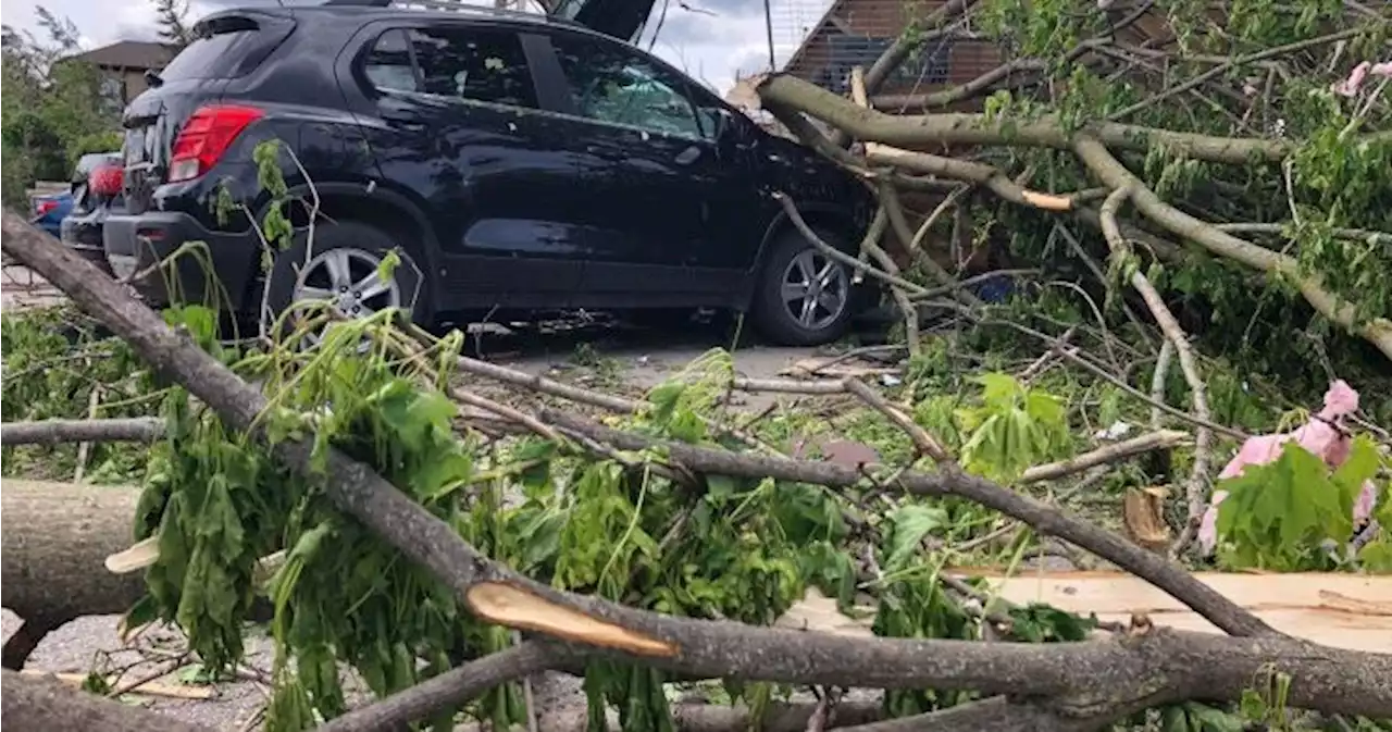 Insurance claims expected to rise after deadly storm hits Ontario and Quebec | Globalnews.ca