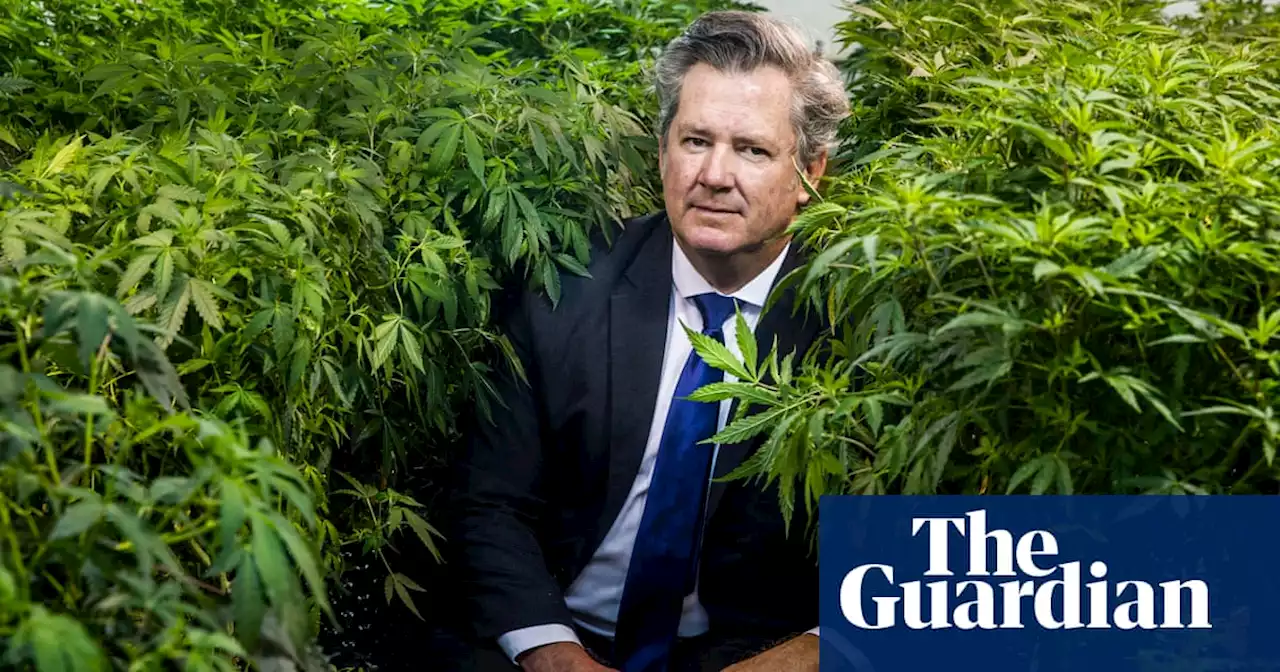 The Noosa yacht club member who led the hemp party to its best result yet in Queensland