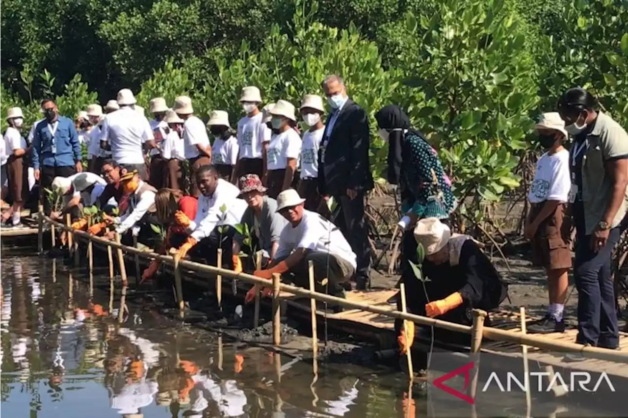 Indonesia Canangkan Penanaman 10 Juta Pohon untuk Kurangi Risiko Bencana