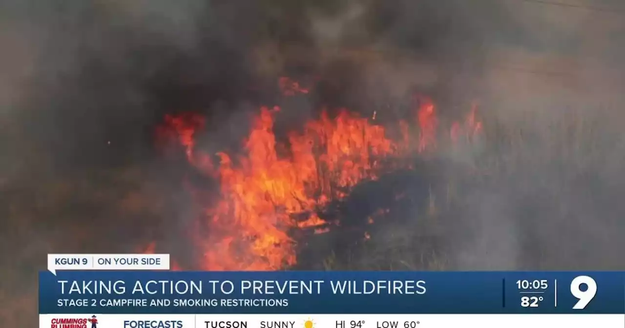 Stage 2 Federal and State wildfire restrictions in Southern Arizona