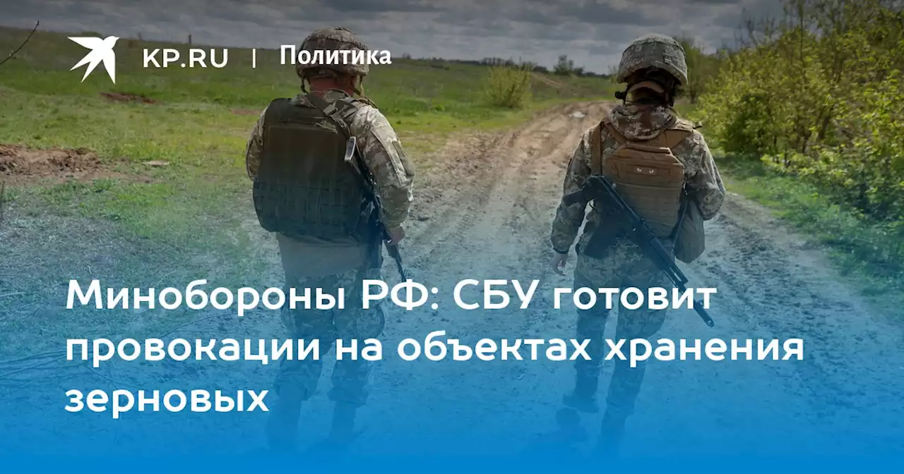 Минобороны РФ: СБУ готовит провокации на объектах хранения зерновых