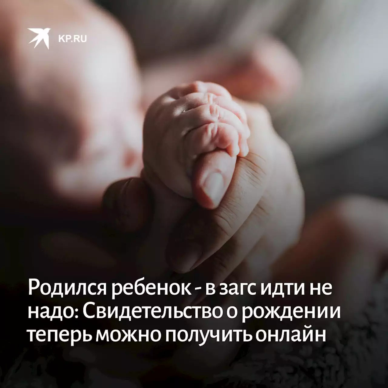 Родился ребенок - в загс идти не надо: Свидетельство о рождении теперь можно получить онлайн