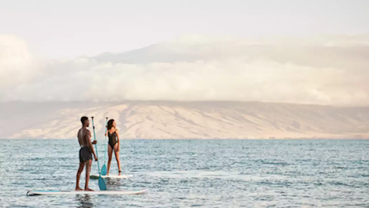 Four Seasons Maui launches partnership with Project Reef