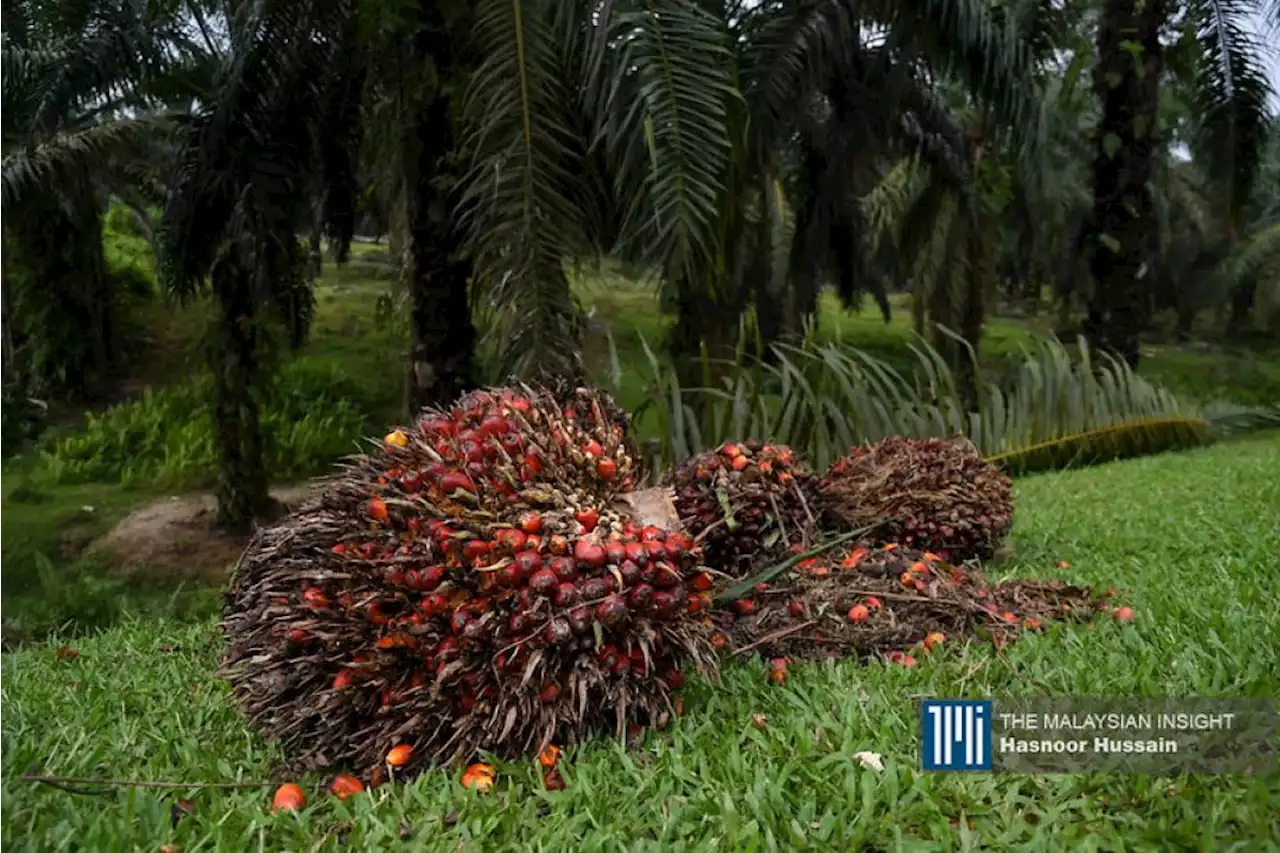 Malaysia to benefit from high commodity prices, says Moody’s | The Malaysian Insight