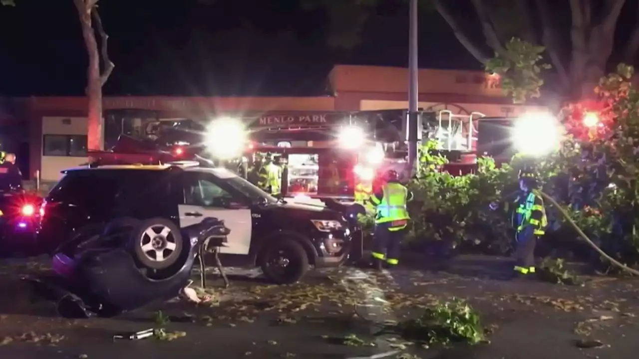 Driver Dies After Crashing Into Tree in East Palo Alto