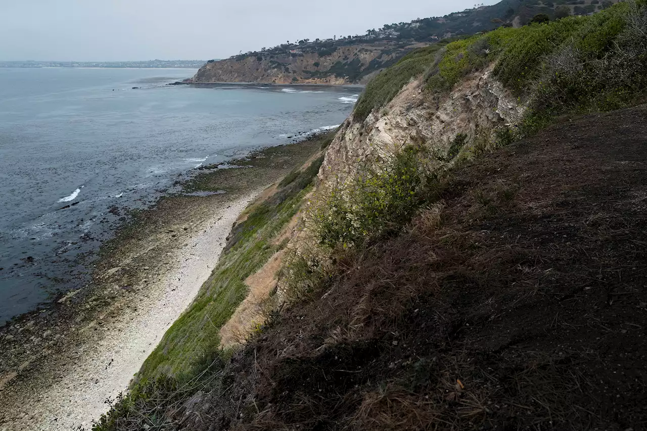 4 people fall off California cliff; 1 dead and 2 badly hurt