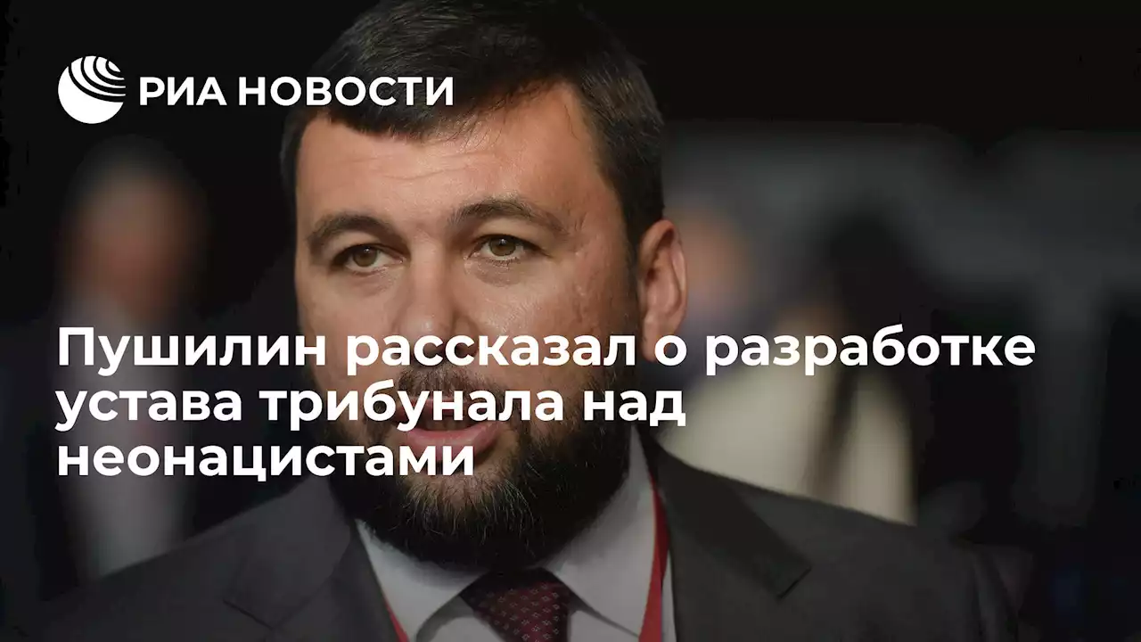 Пушилин рассказал о разработке устава трибунала над неонацистами