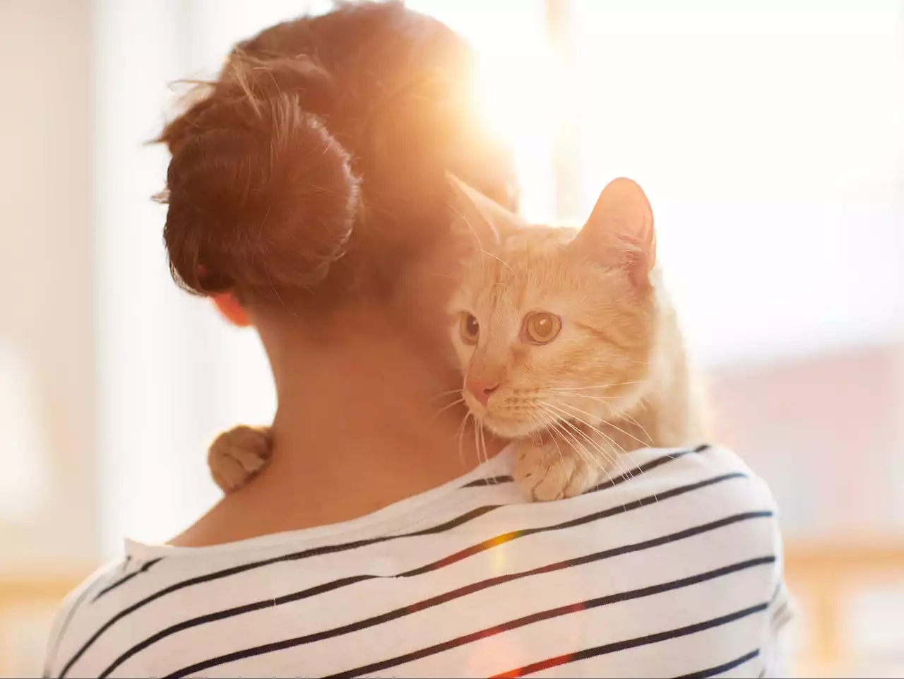 Millennials prefer pets to kids, love them more than siblings: Survey