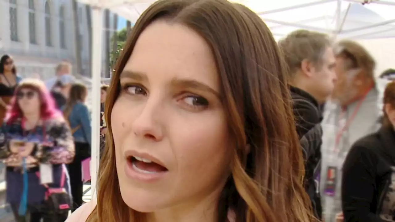 Sophia Bush Alleged Stalker Arrested