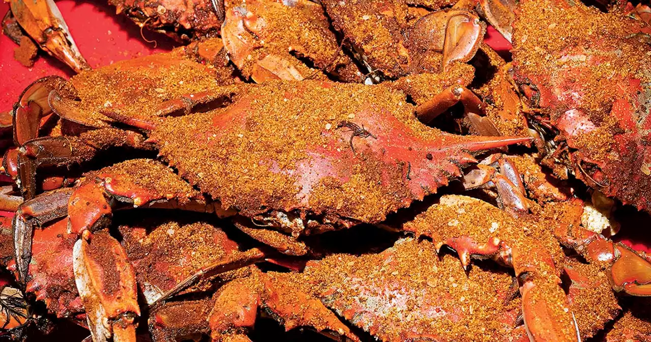 Number of Chesapeake Bay Blue Crabs Hits Record Low