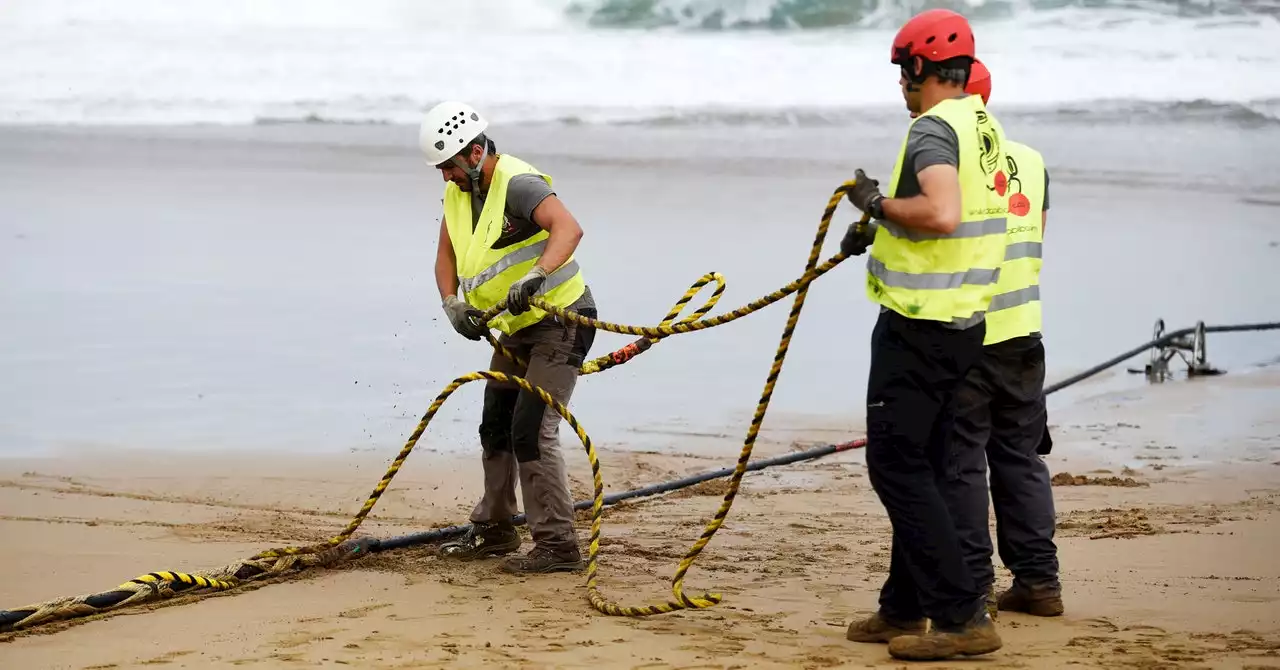 Undersea Cables Are the Latest Tools for Earthquake Detection