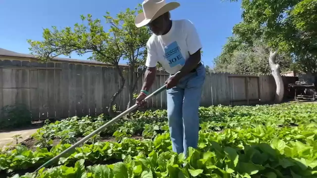 Meet Mississippi Joe, 72-year-old Peninsula man using his garden to cultivate close-knit community