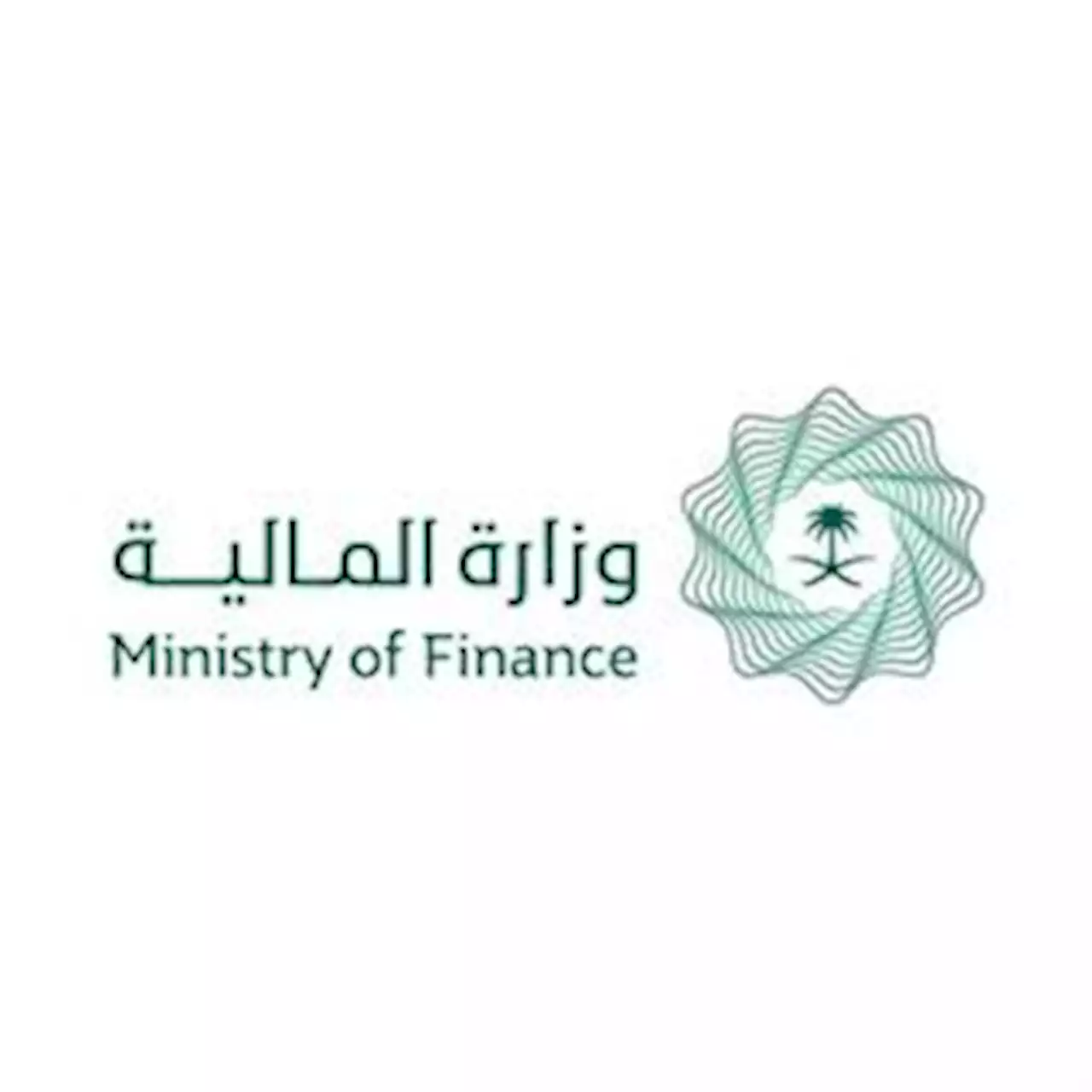 المالية تضع قواعد لتعاقد الجهات الحكومية على السلع والخدمات عن طريق المشاركة في الدخل