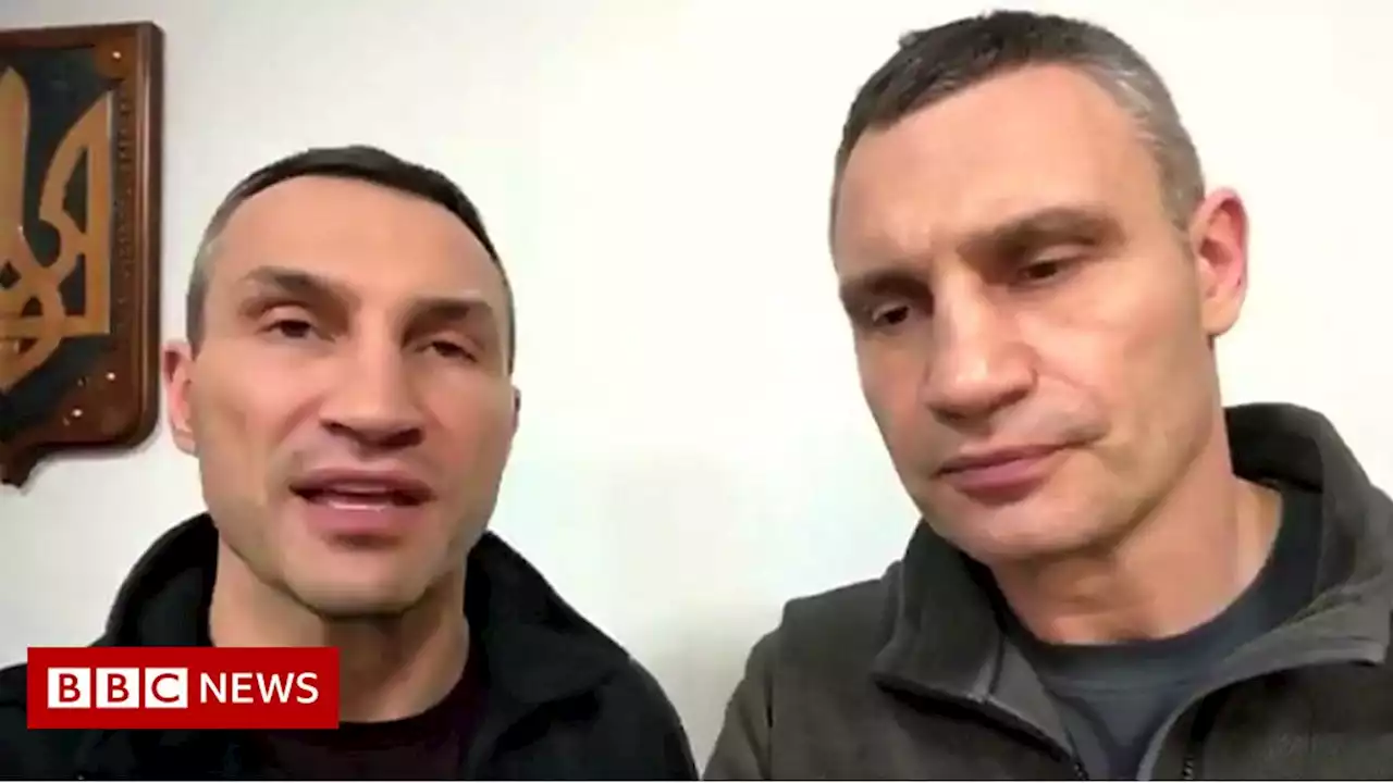 Klitschko brothers urge Europe to stay strong for Ukraine