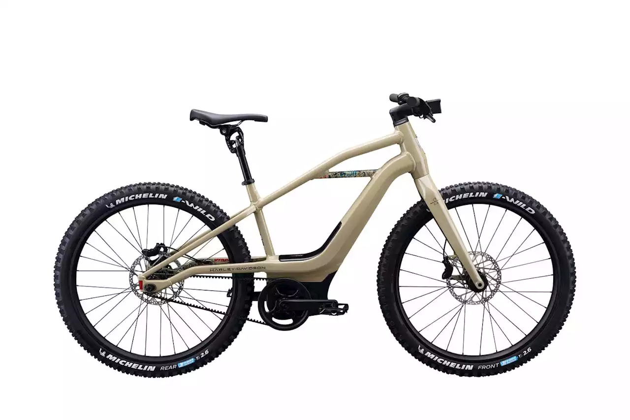 Serial 1 Launches BASH/MTN Limited Edition e-MTB