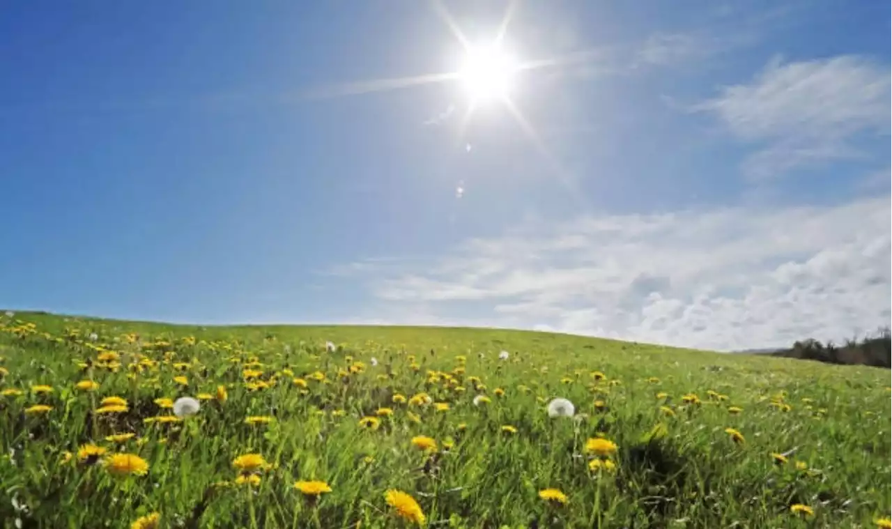 UK weather: Relief for drenched Brits as thunderous showers to make way for weekend sun