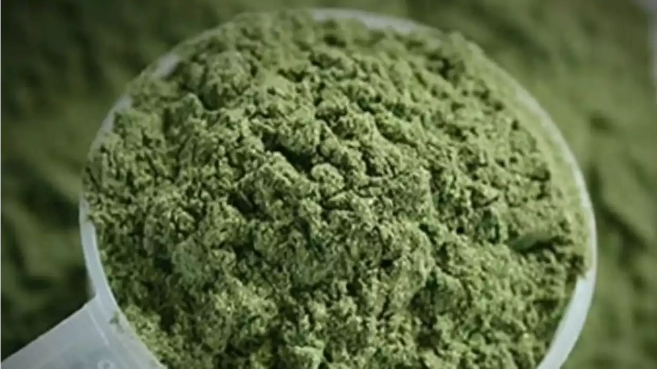 Kratom's Future in Denver and Colorado After New Bill Becomes Law