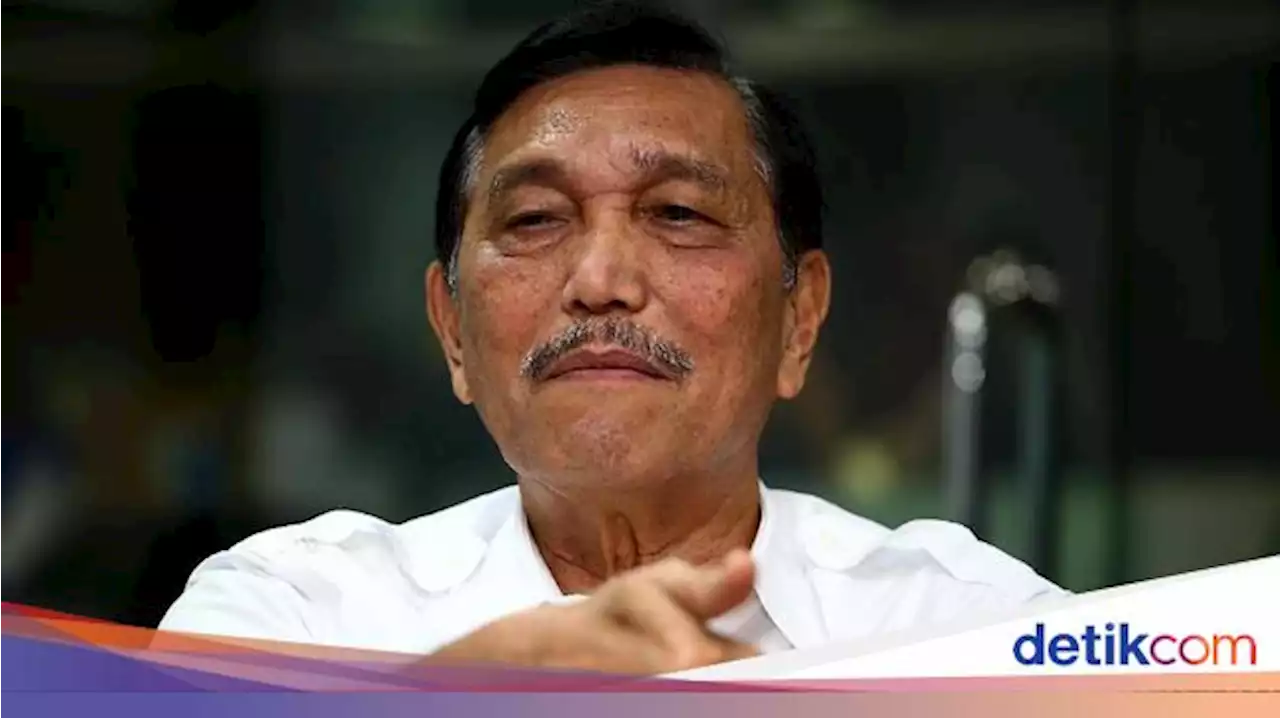 Luhut Blak-blakan soal Rencana Audit Perusahaan Sawit