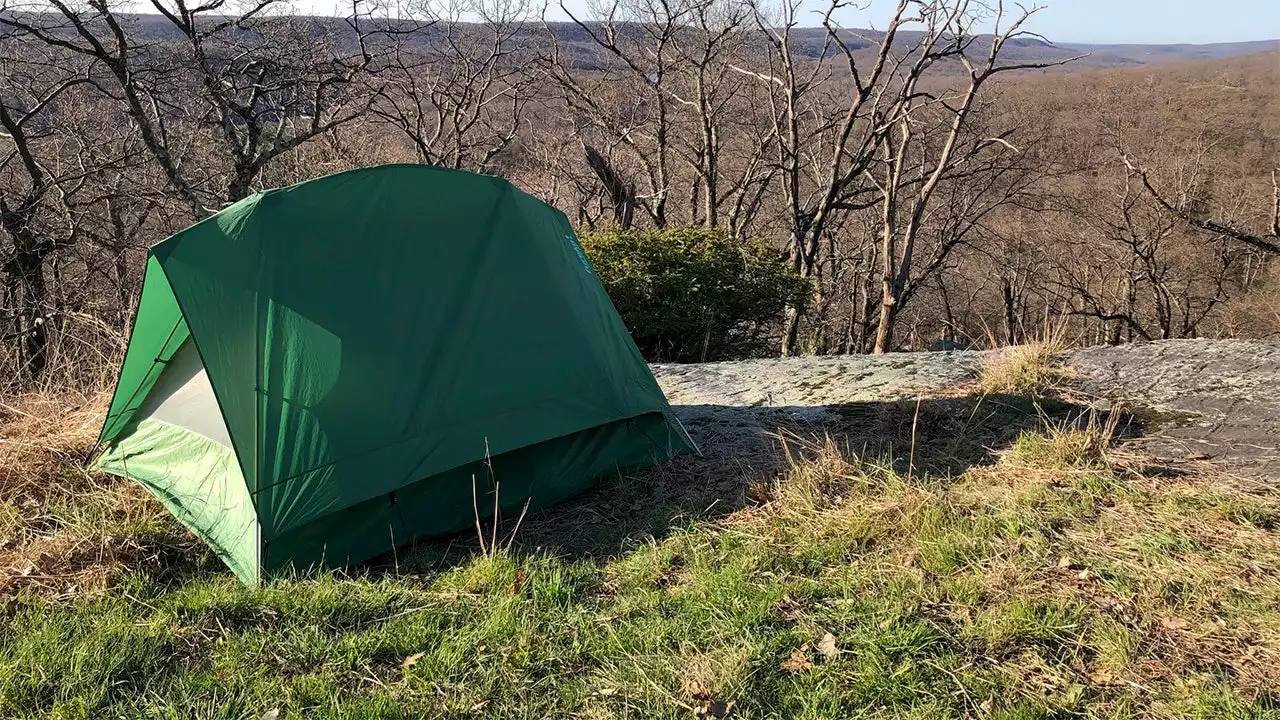 Bear bites Boy Scout at NY park