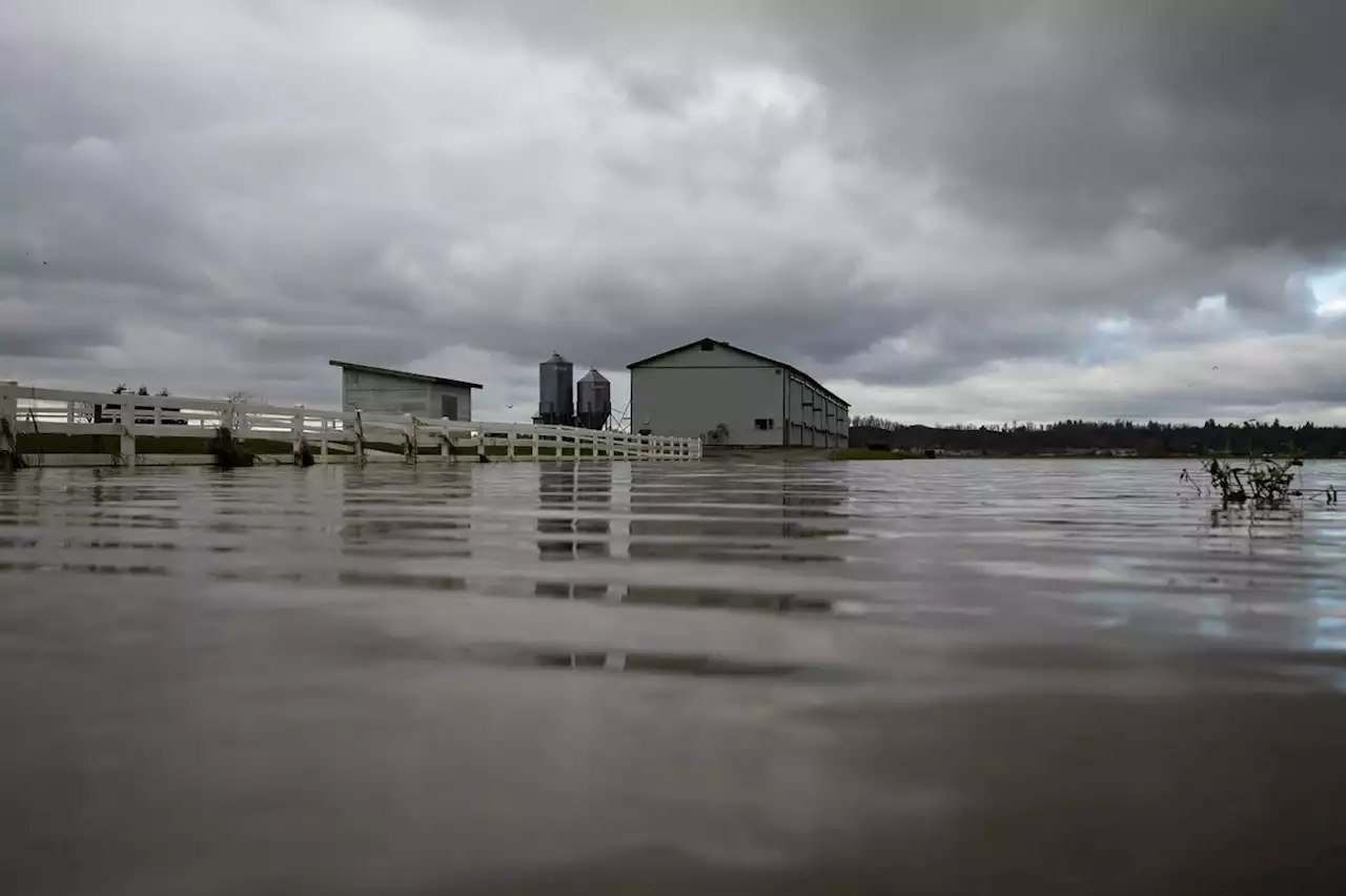 Flood-stricken B.C. farmers given more time to apply for disaster assistance