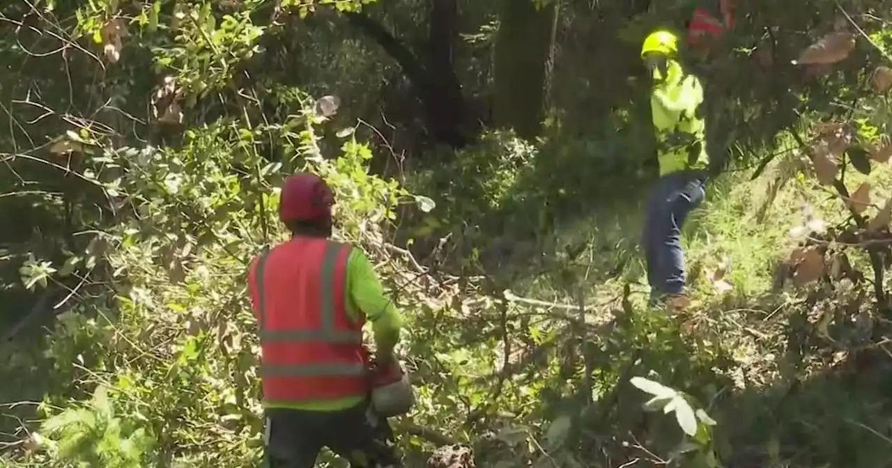 Wildfire preps underway to protect Marin County water supply