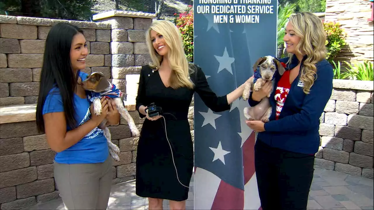 Armed Forces Foundation sponsors Military Adoptions at the Helen Woodward Animal Center -