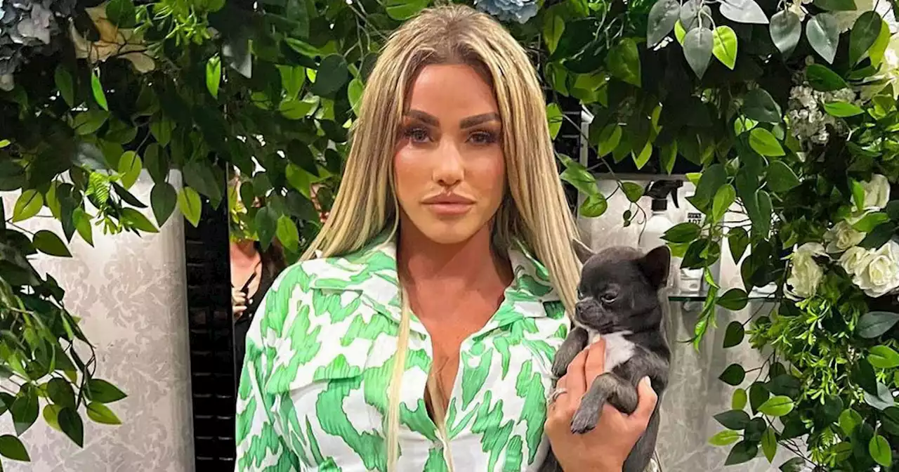 Petition to ban Katie Price from owning dogs reaches 20k signatures