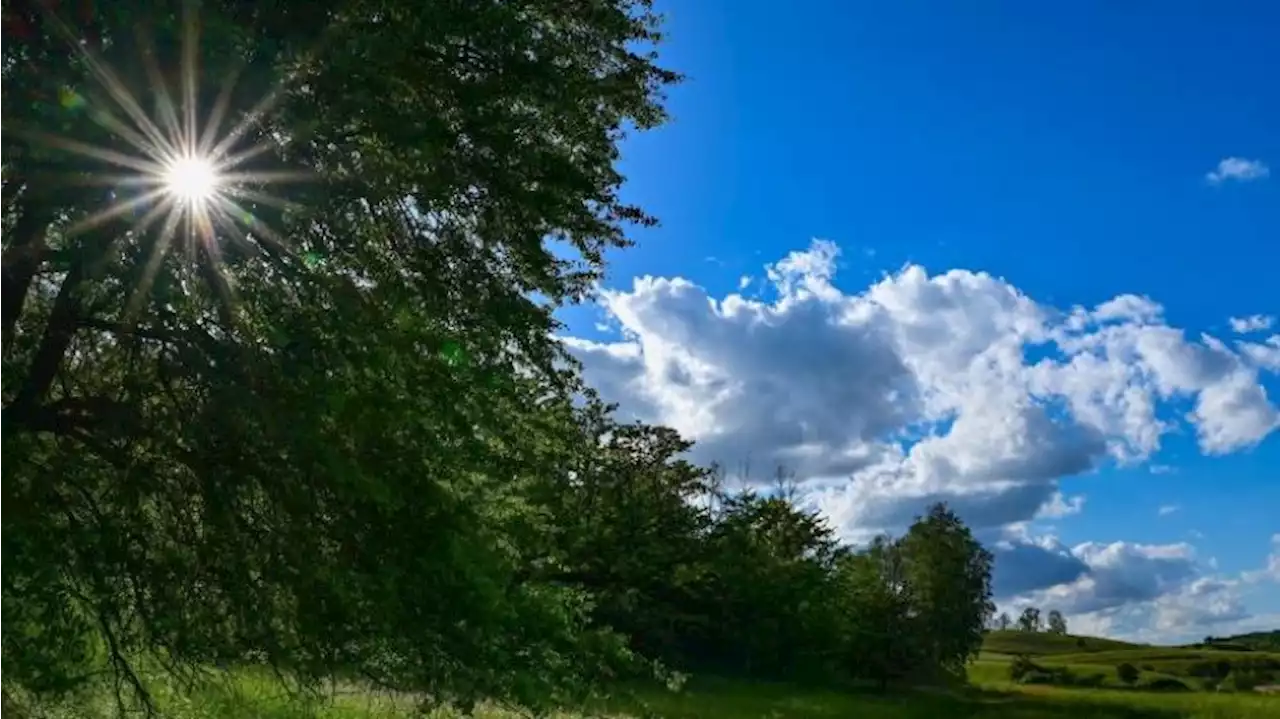 Mix aus Sonne und Wolken in Berlin und Brandenburg