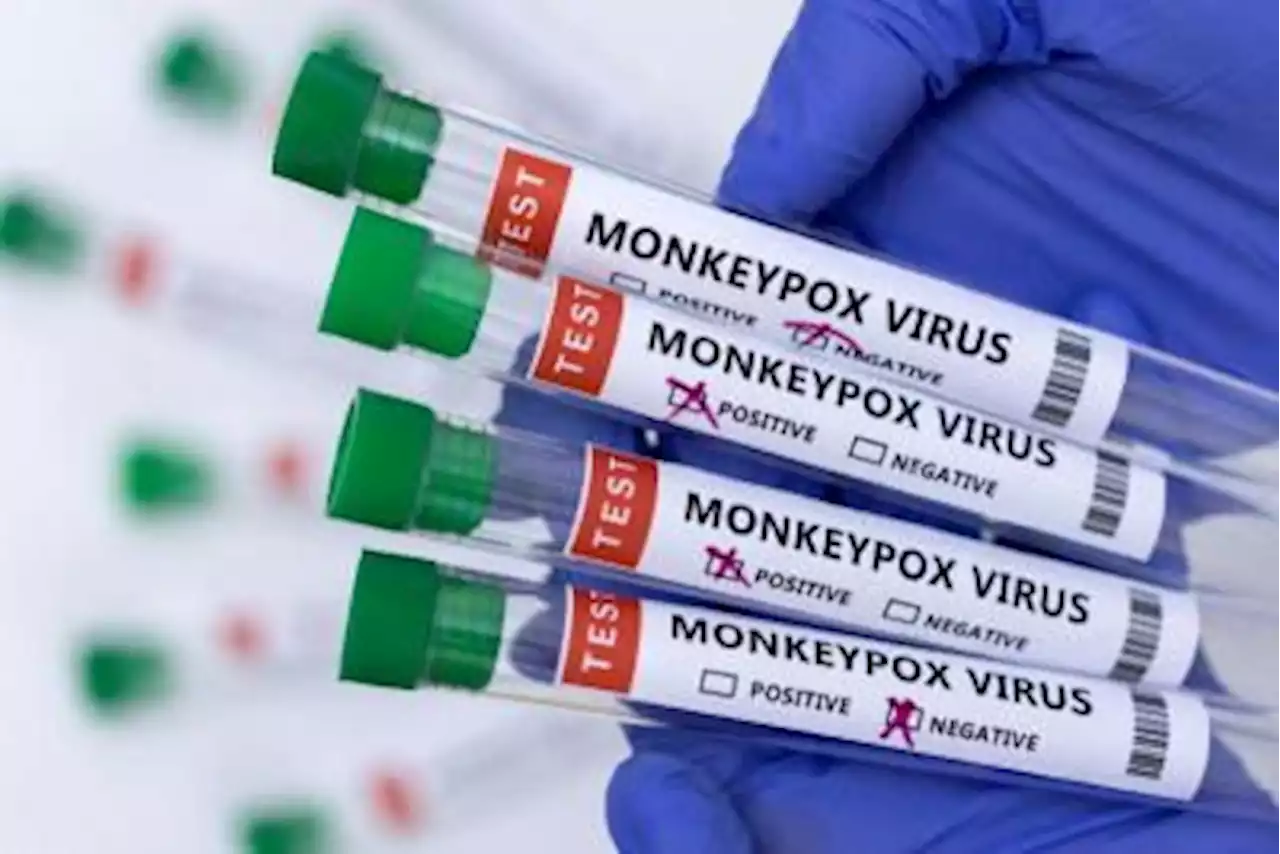 Laos on alert for monkeypox among tourists