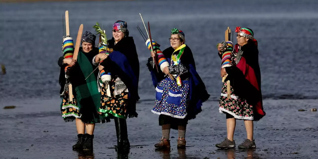 Konflikt in Chile: Gewalt gegen Mapuche