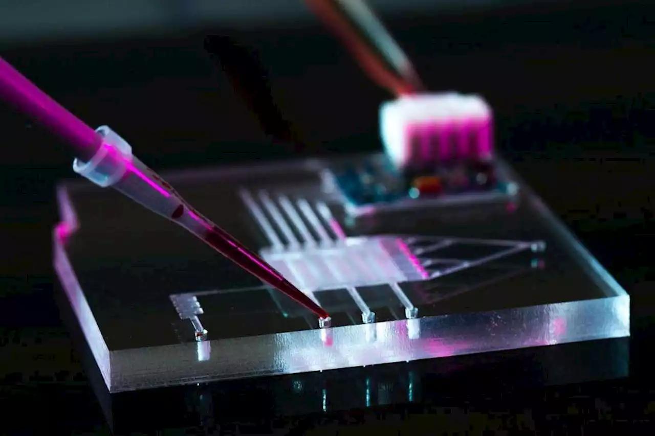 Nanotecnologia: como ela está presente no dia a dia?