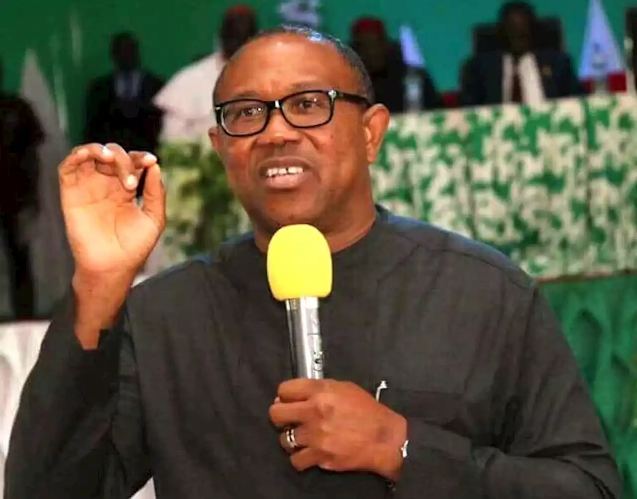 'Recent developments make constructive contributions impossible' -- Peter Obi dumps PDP | TheCable