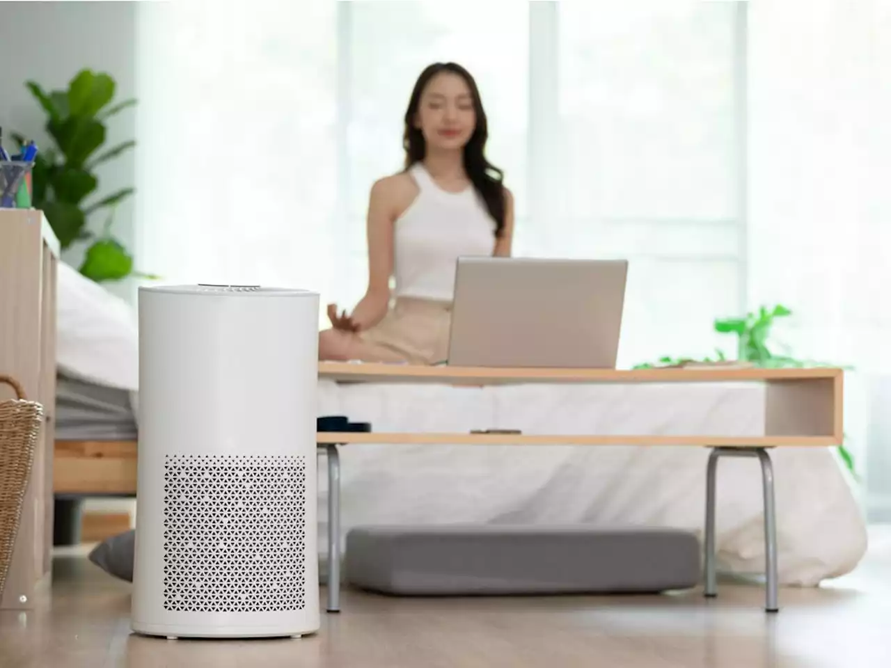 Buying an air purifier to prepare for allergy and wildfire season? Here's what you need to know.