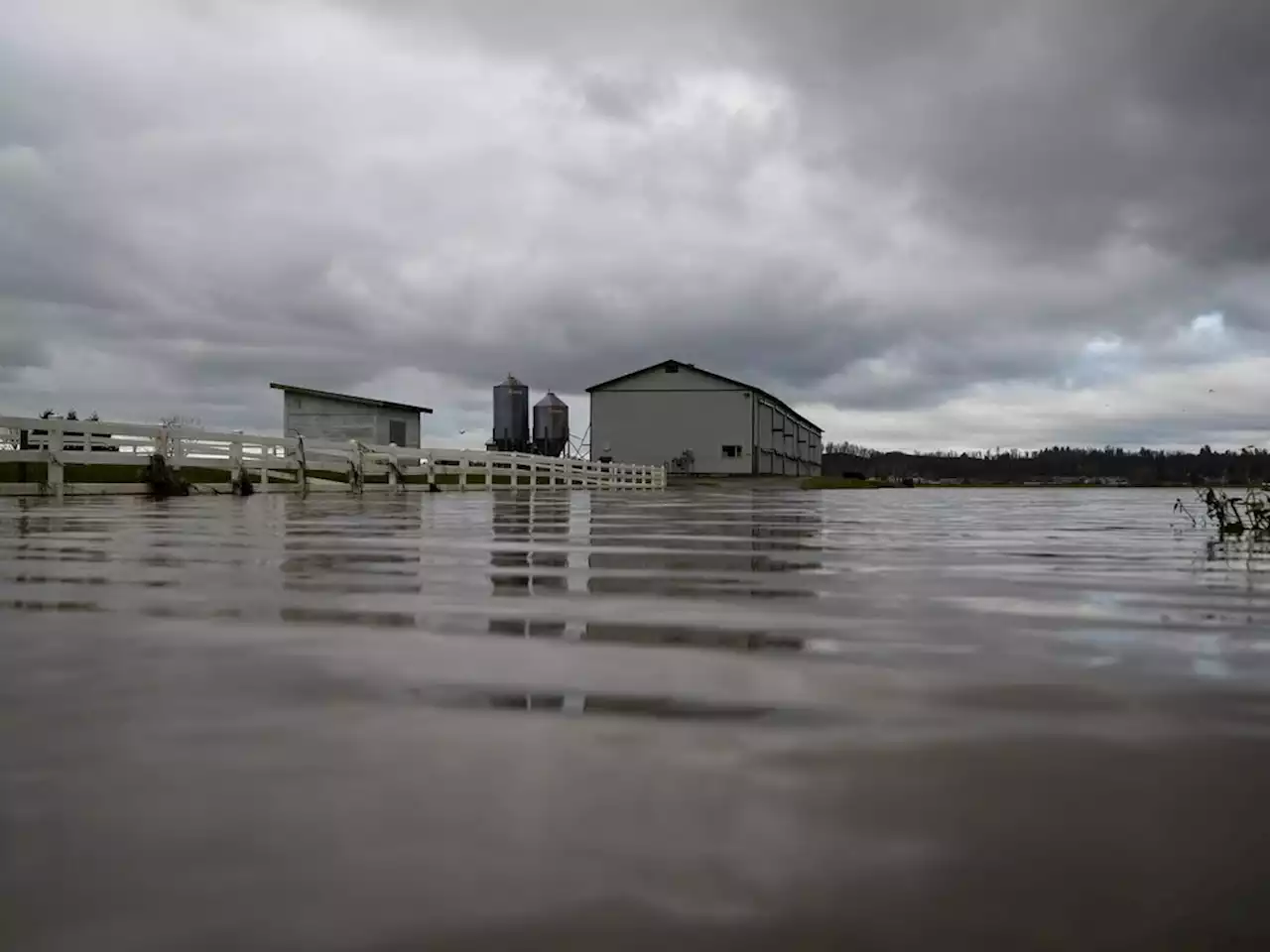 Flood-stricken B.C. farmers given more time to apply for disaster assistance