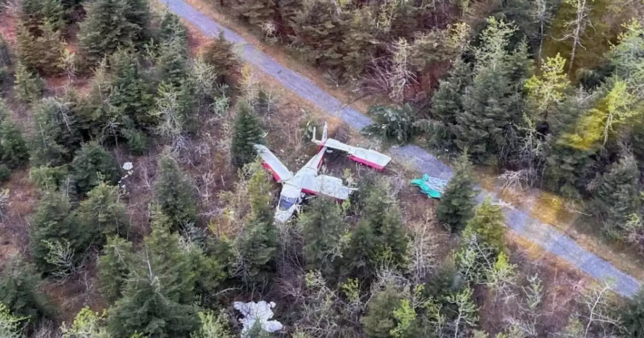 NTSB: 4 injured in crash of charter aircraft at remote airstrip near Yakutat