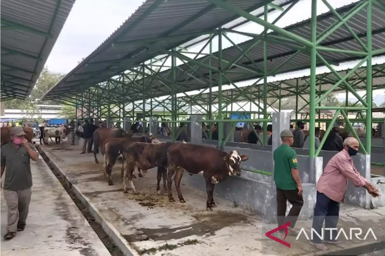 Cegah kuku-mulut, keluar masuk ternak di Gunung Kidul diperketat