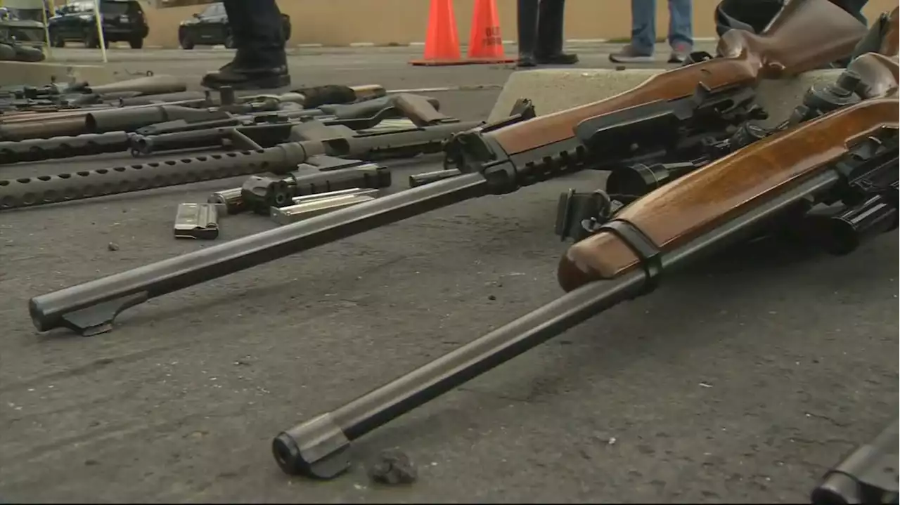 Gun Buyback Nets 50 Firearms: 'A Gun Buyback Itself Is Not Going To Solve Gun Violence'