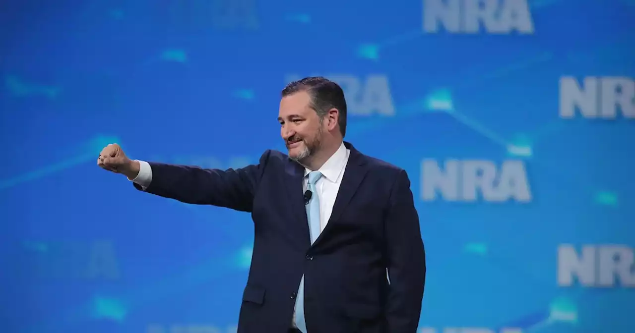 'Ted Cruz, F-ck You!': Anger Erupts at Gun-Loving GOP After Mass Slaughter in Texas