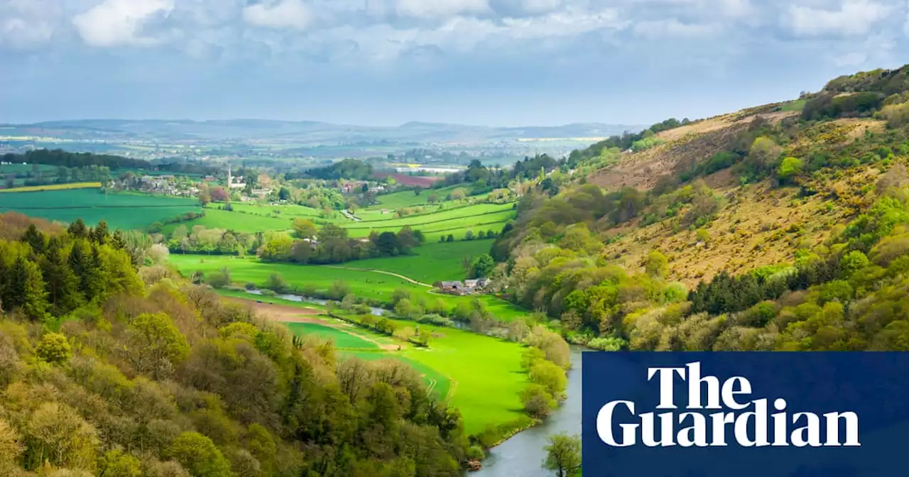 Work begins to turn 99,000 hectares in England into ‘nature recovery’ projects