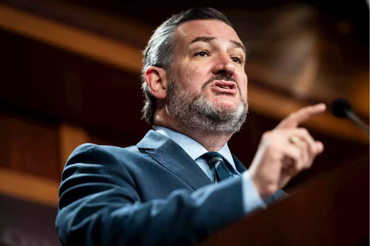 Ted Cruz Flayed Over Ludicrous Idea For Preventing School Shootings