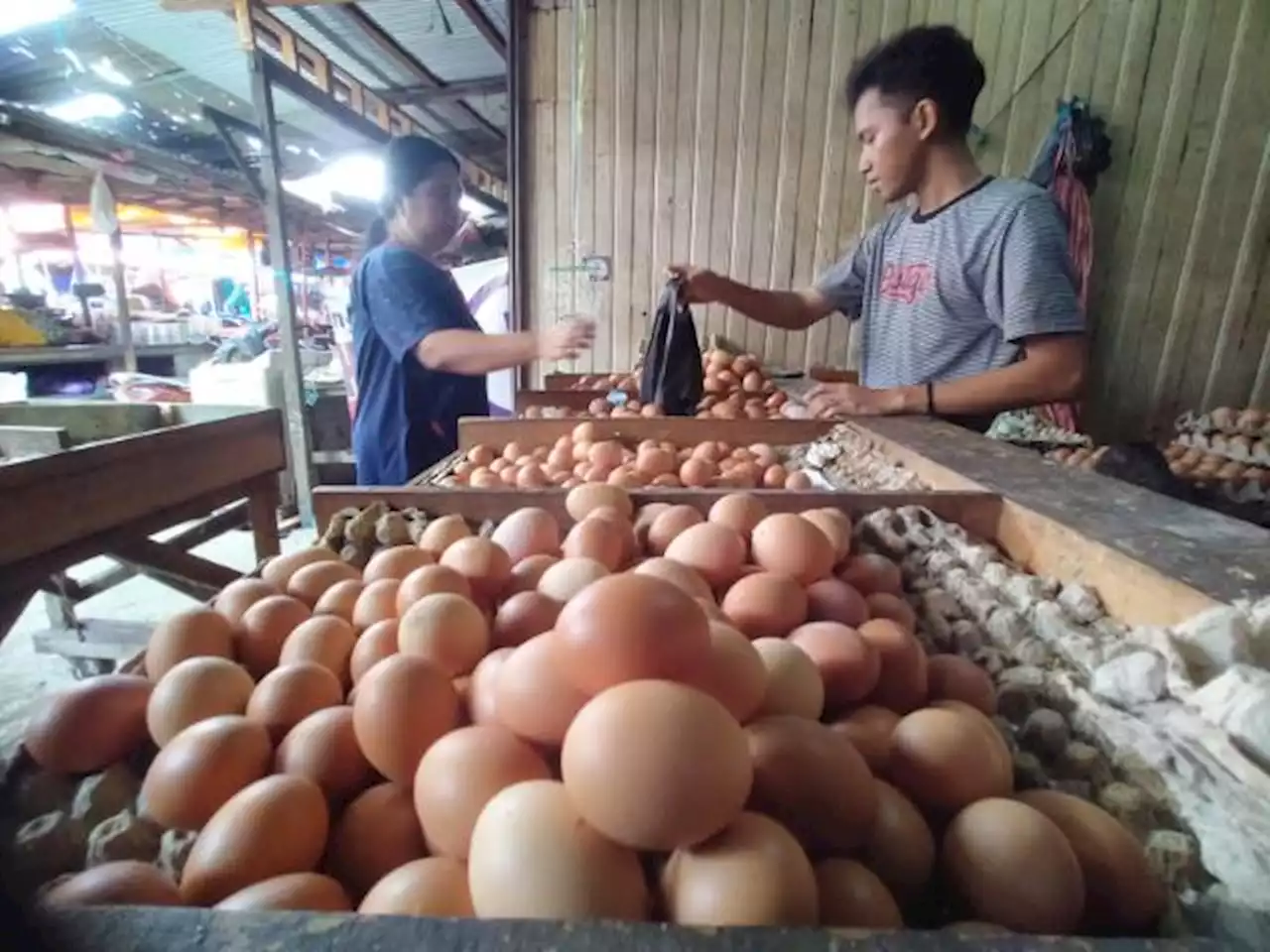 Harga Telur Melonjak, Naik Hingga 50 Persen