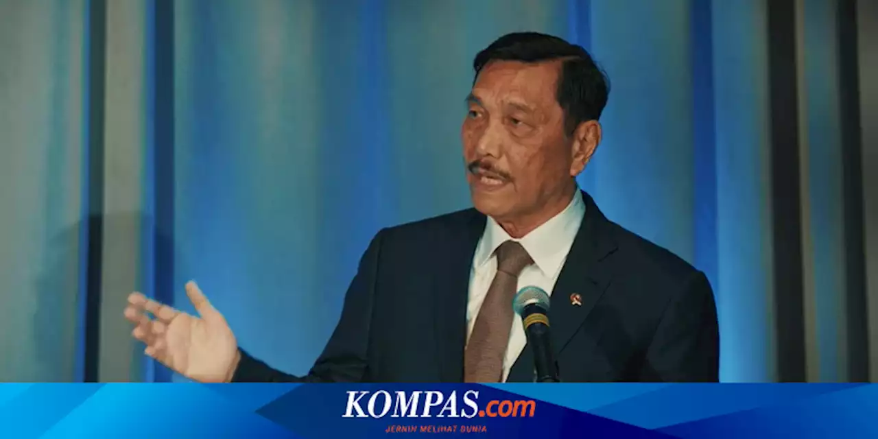 Luhut Lobi Elon Musk Bikin Pabrik di Kalimantan Utara